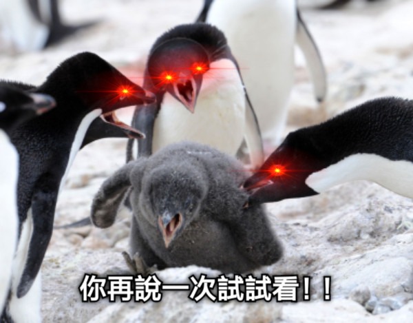 常見百家樂走勢分析，不要再跟我說玩百家樂都是靠運氣！