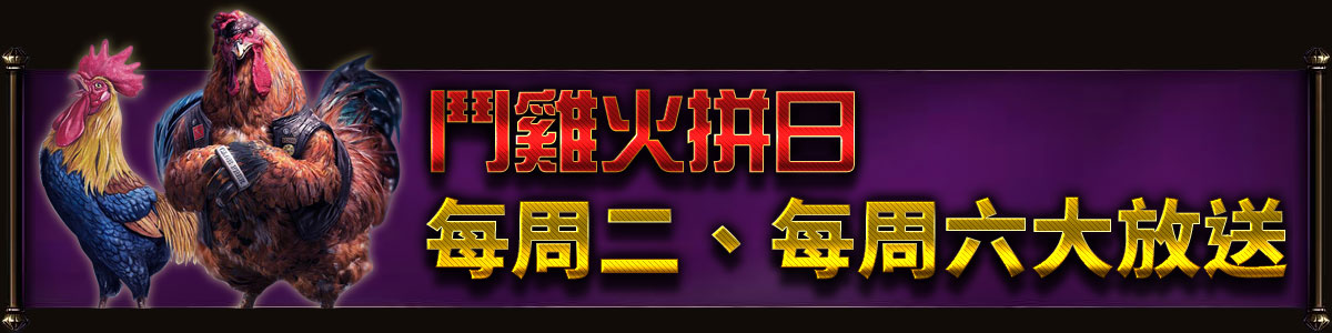 鬥雞火拼日,每周二、每周六大放送